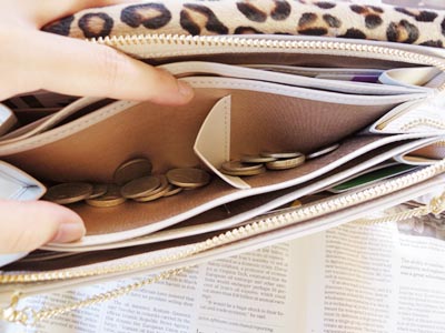 お財布バッグ１０